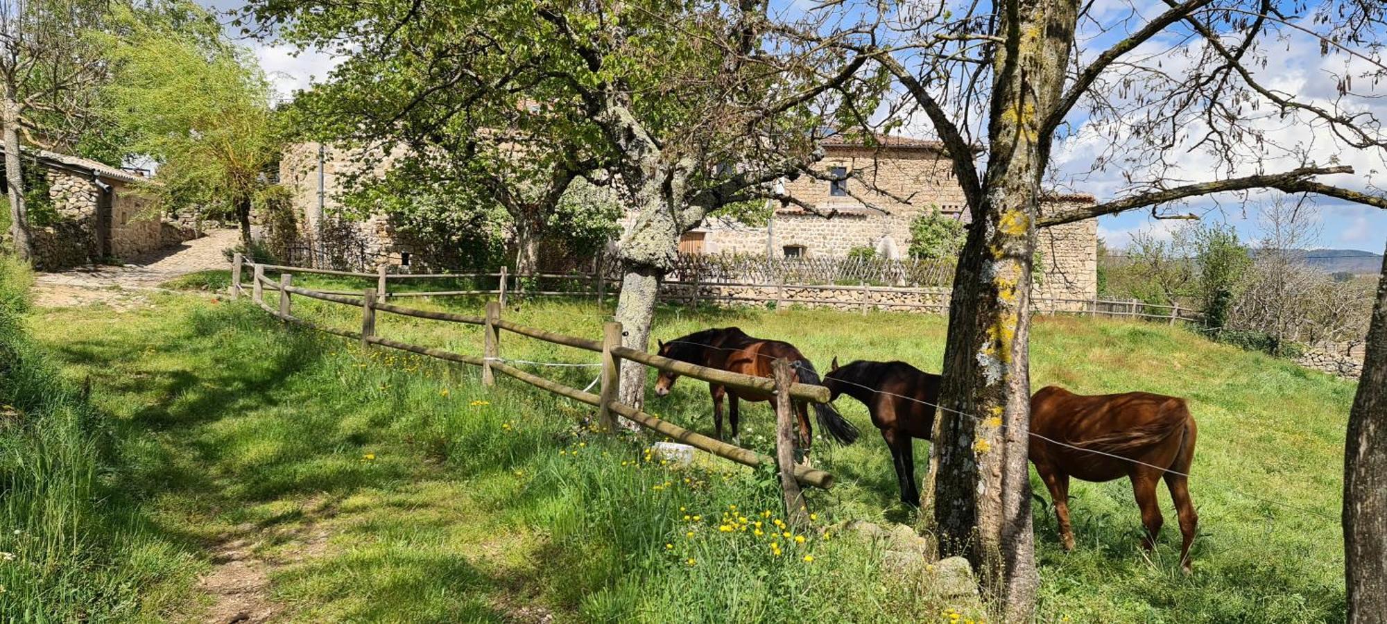 Gites Domaine De Silhac Ardeche Extérieur photo